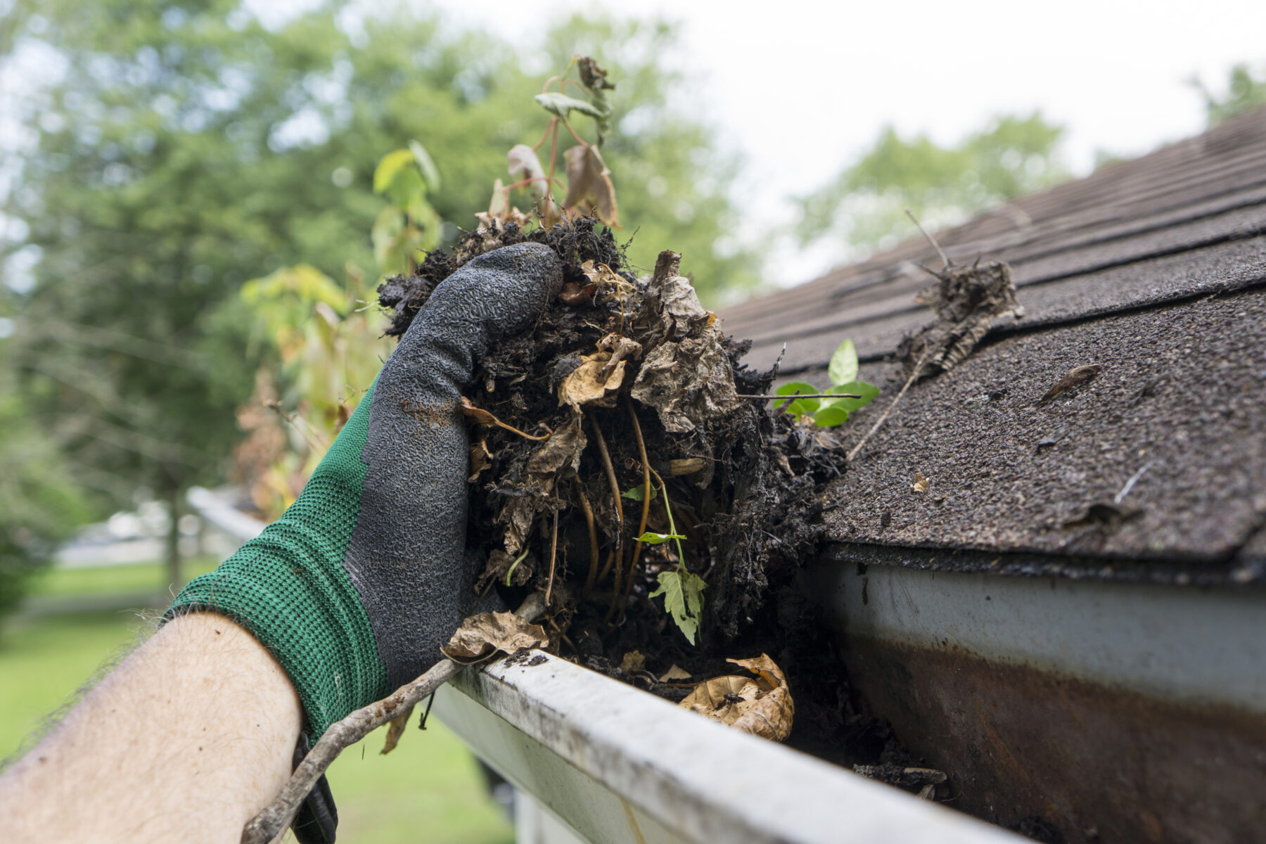 Gutter Cleaning Services